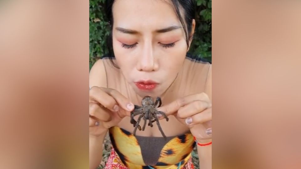 Mujer come tarántula en TikTok