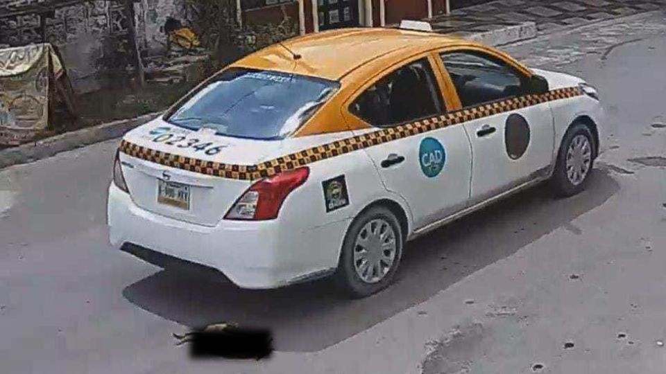 Taxista atropella a perrito en Cadereyta | Facebook / Chío Ramos