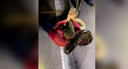 Hombre pelea con serpiente; las redes se sorprenden por su fuerza