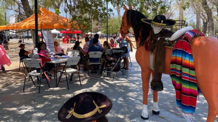 Culmina con éxito la primera edición de Alameda de Pinta