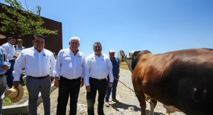 UANL recibe recursos para equipar sus laboratorios ganadero y vitivinícola