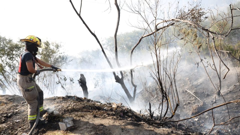 Bomberos combatiendo el siniestro.