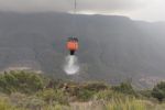 Protección Civil logra sofocar incendio forestal en Santa Catarina