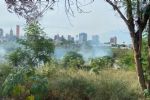 Incendios han afectado 6.3 hectáreas en el río Santa Catarina: Conafor