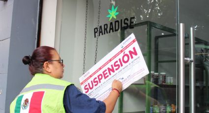 Cofepris suspende sucursales de empresa vendedora de productos cannabis