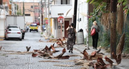 Ventarrón provoca cortes de electricidad y limpia el aire de Monterrey