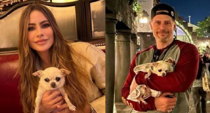 Sofía Vergara y Joe Manganiello aún no resuelven la custodia de su perro 'Bubbles'