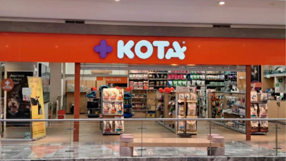 Tienda +Kota se declara en quiebra | Maskota