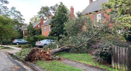 Tormentas y fuertes vientos dejan 200 mil personas sin electricidad en EU