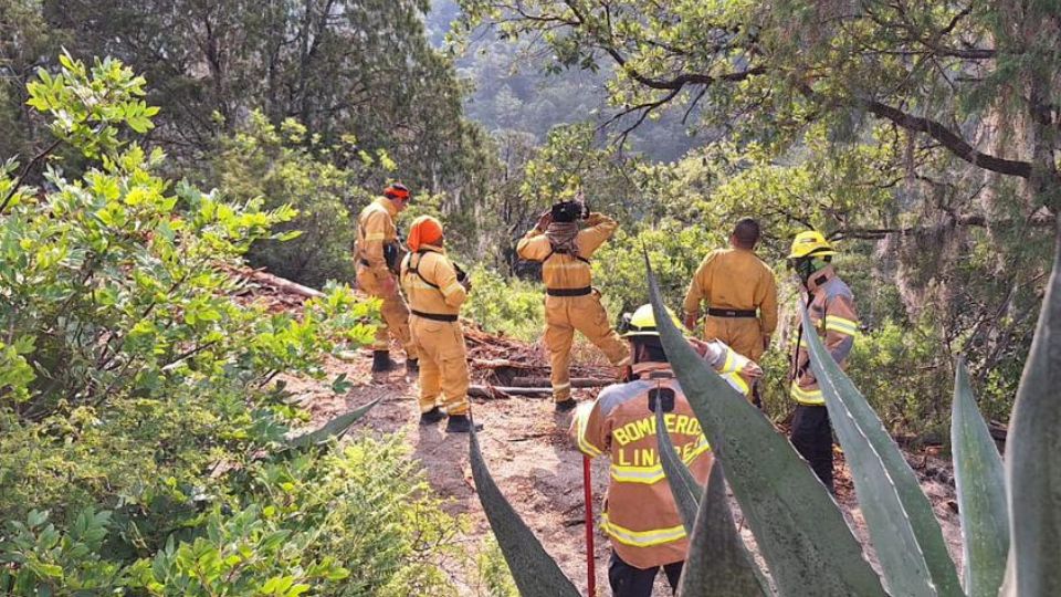 Elementos trabajando en la sofocación del incendio.