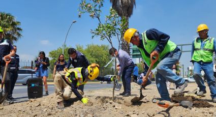 Medio Ambiente planta 50 árboles en Torre Administrativa