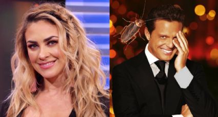 ¿Indirecta a Luis Miguel? Aracely Arámbula vuelve a mencionar la palabra cucaracho