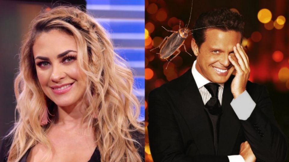 Aracely Arámbula y Luis Miguel