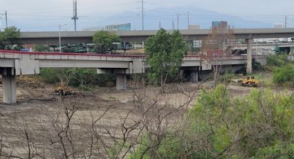 Biólogo recomienda no retirar la vegetación del río Santa Catarina