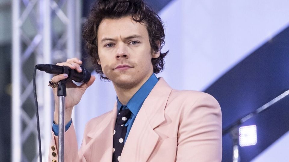 Cantante británico Harry Styles