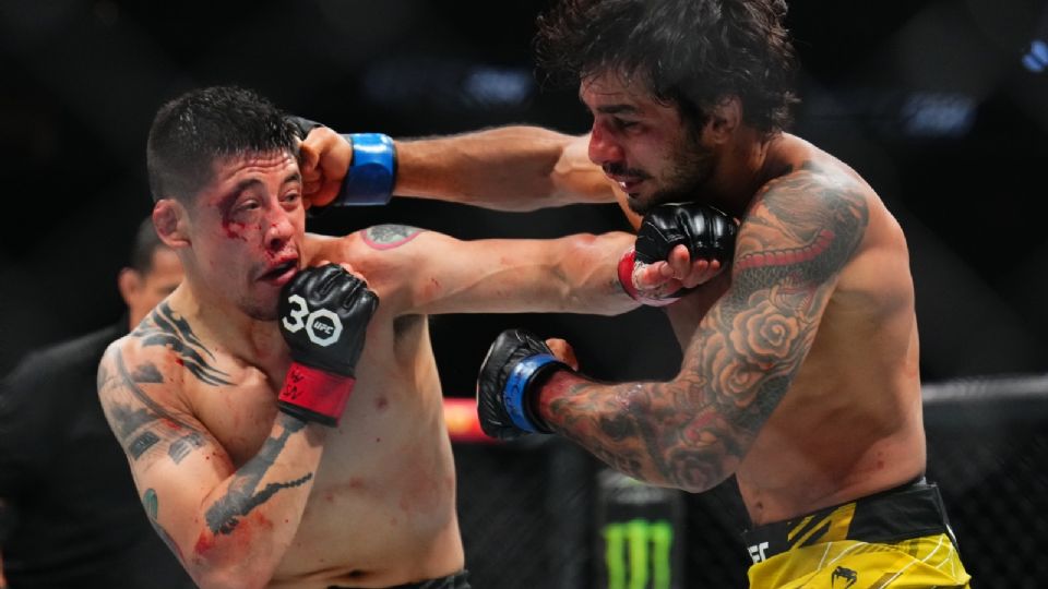 Alexandre Pantoja repitió la dosis a Brandon Moreno, por tercera ocasión, y es nuevo campeón de peso mosca del UFC. El mexicano cayó por decisión dividida en su tercera batalla, segunda dentro del UFC, contra 'The Cannibal'.