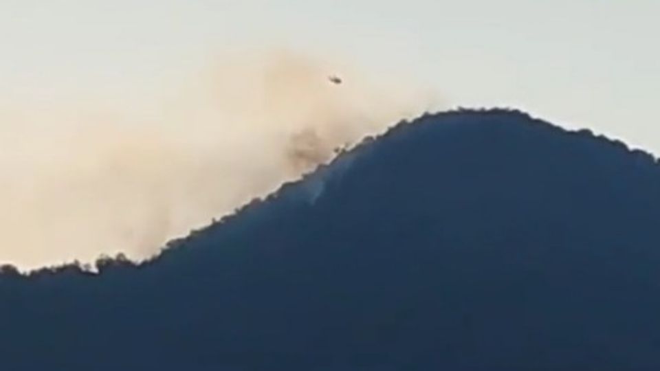 Autoridades combatiendo el incendio forestal en Aramberri.