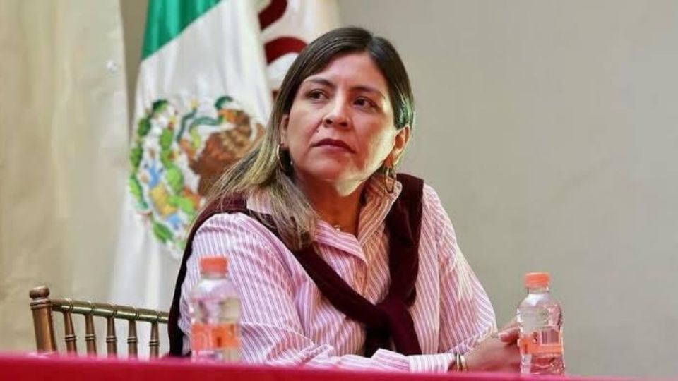 presidenta estatal de Morena, Anabel Alcocer Cruz,