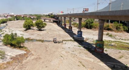 Otorgan amparo provisional a colectivo por desmonte del río Santa Catarina