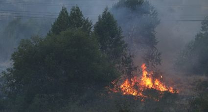 Una vez más, se incendia el río Santa Catarina