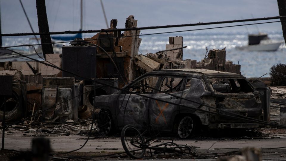 Zona afectada por los incendios.