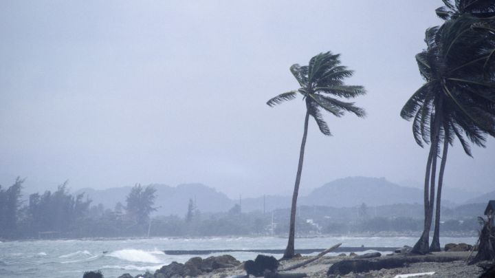 Tormenta Lidia se intensifica: ¿En qué estados causará lluvias fuertes?
