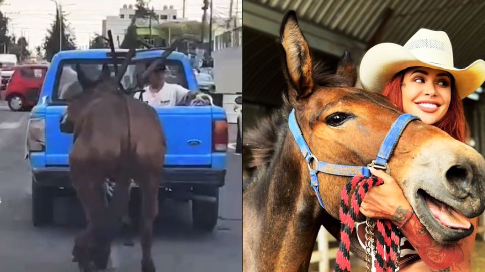 El antes y después de Hope, gracias a la ayuda de Elena Larrea.