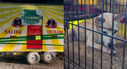 Clausuran circo de animales con deformaciones en Sabinas