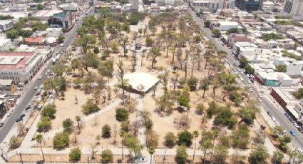 Monterrey analiza proyecto de arborización en La Alameda