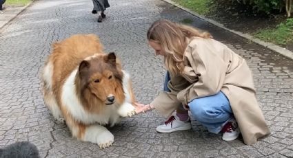 ¡De locura! Hombre gasta más de 250 mil pesos para transformarse en un perro