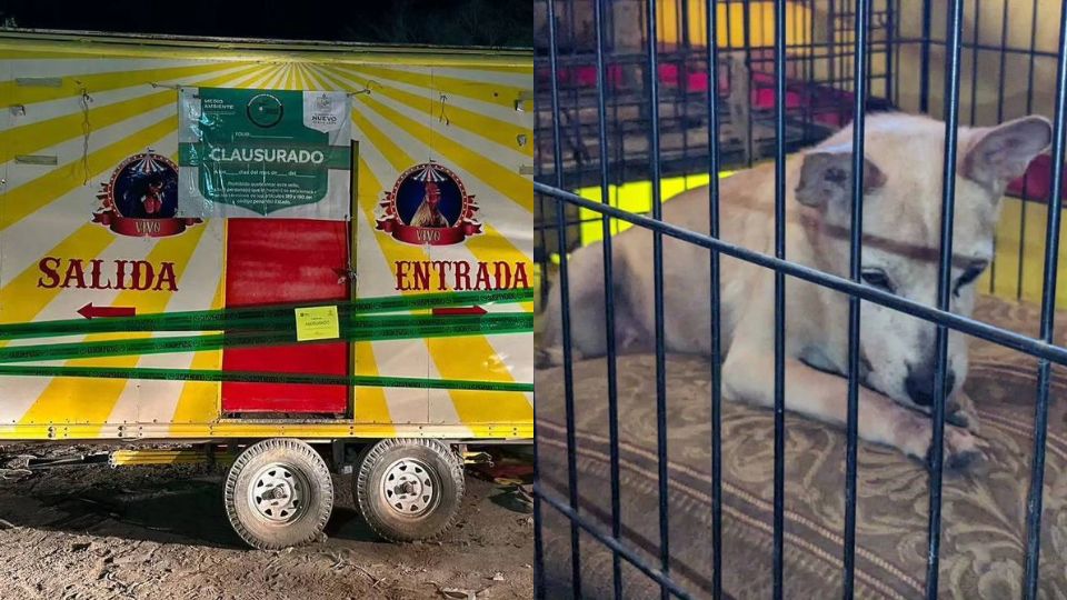 Cierran circo de animales con malformaciones en Sabinas