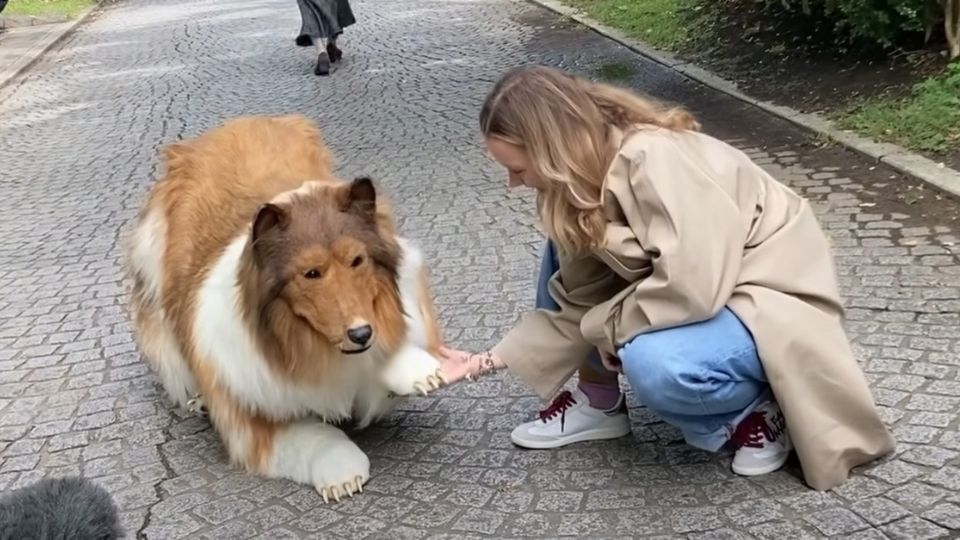 Hombre transformado en perro