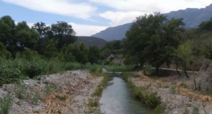 Estado promueve ahorro de agua en la producción nogalera de Rayones