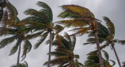 Tormenta tropical Harold se acerca a NL: ¿Qué nivel de peligro hay?