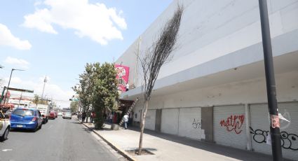 Retirarán árboles en mal estado del centro de Monterrey