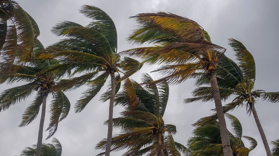 Tormenta tropical Harold se acerca a México