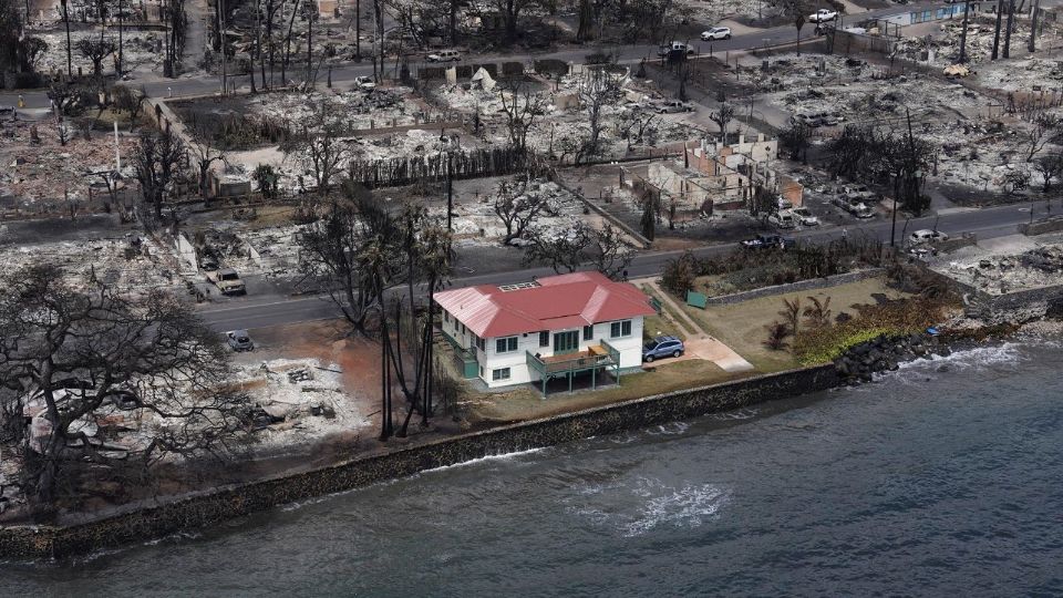 Casa libre afectaciones por incendios en Hawái | Twitter / @AvatarDomy