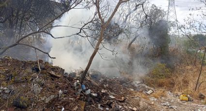 Combaten en Nuevo León 5 incendios forestales en un día