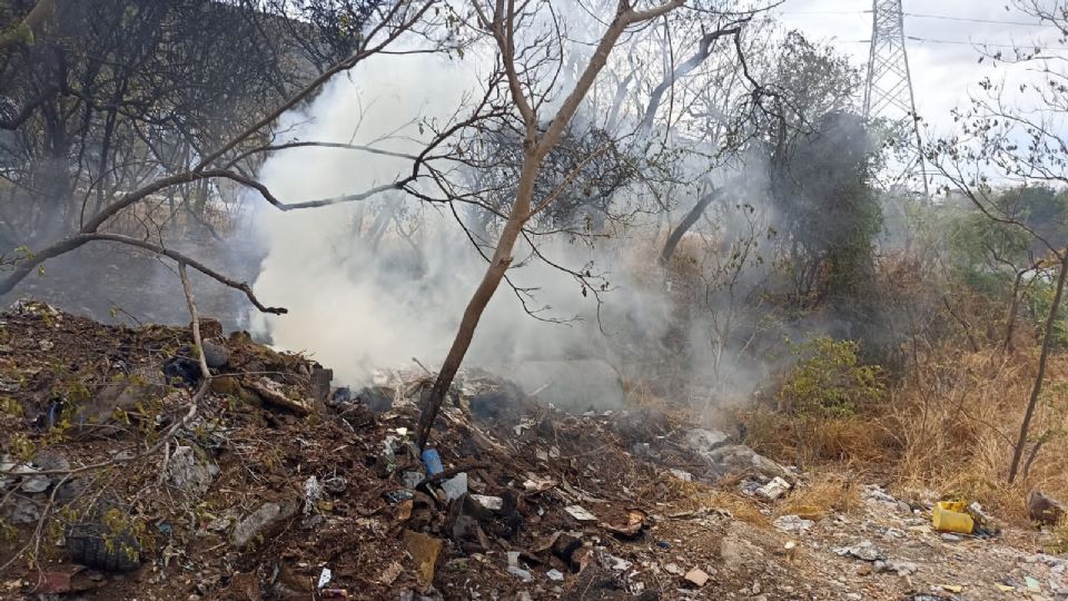 Incendio en río Santa Catarina