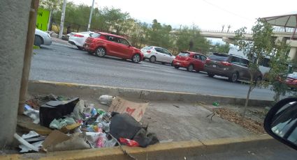 Ciudadanos denuncian malas condiciones en árboles de Línea 1 de Metrorrey