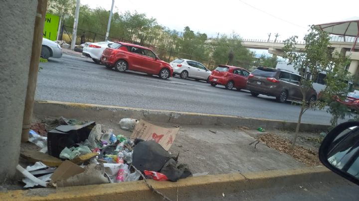 Ciudadanos denuncian malas condiciones en árboles de Línea 1 de Metrorrey