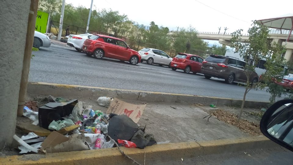 Árbol en malas condiciones.