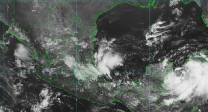 Se forma la tormenta tropical 'Idalia', ¿Dónde provocaría lluvias?