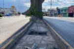 Arborizan recorrido de la Línea 1 del metro en Monterrey