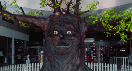 ¿Cómo llegó ahí? Árbol sonriente de Bosque Mágico ‘aparece’ en otro sitio