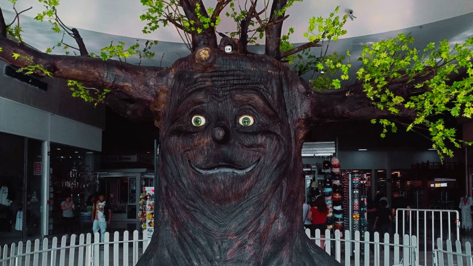 Árbol sonriente que pertenecía a Bosque Mágico | Facebook / Keyla Pérez