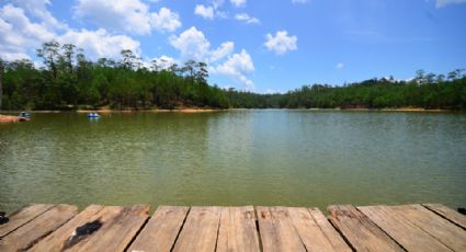 Muere hombre tras contraer la ameba come cerebros en un lago de Texas