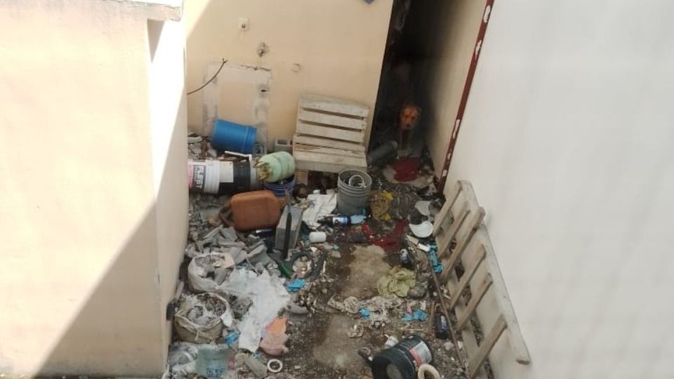 Perritos viven entre basura en casa de Juárez