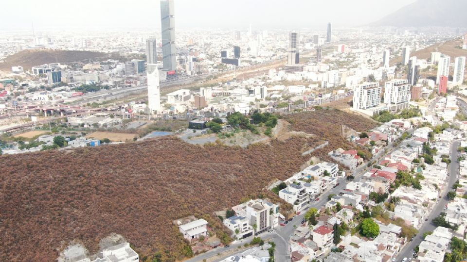 Maleza seca en los cerros.