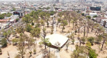 Monterrey invertirá 15 mdp para reforestación de Alameda